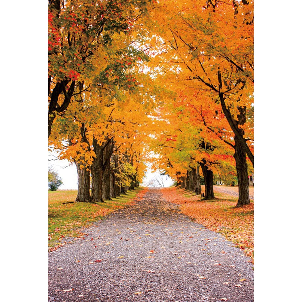 背景布　【　秋A　】　サンプル Amazon | Qinunipoto 背景布 秋の風景 紅葉 落葉 1x1.5m 壁の飾り 記念